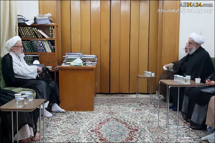 Встреча Генерального секретаря Всемирной Ассамблеи Ахль аль-Байт (мир им) с Аятоллой Фаязом + фото