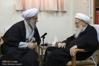 Holding Abu Talib conference is an honor for seminary: Ayatollah Safi 