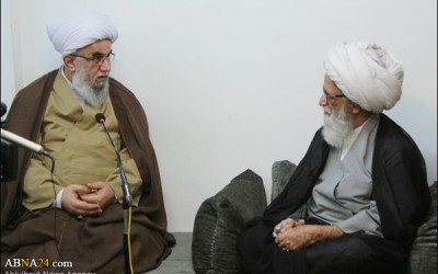 We are proud of Islamic Republic Iran/ Iran brings peace for our hearts: Ayatollah Bashir Najafi