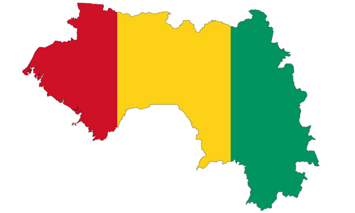 آمار شیعیان گینه